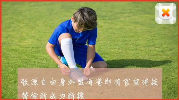 张源自由身加盟海港即将官宣将接替徐新成为新援