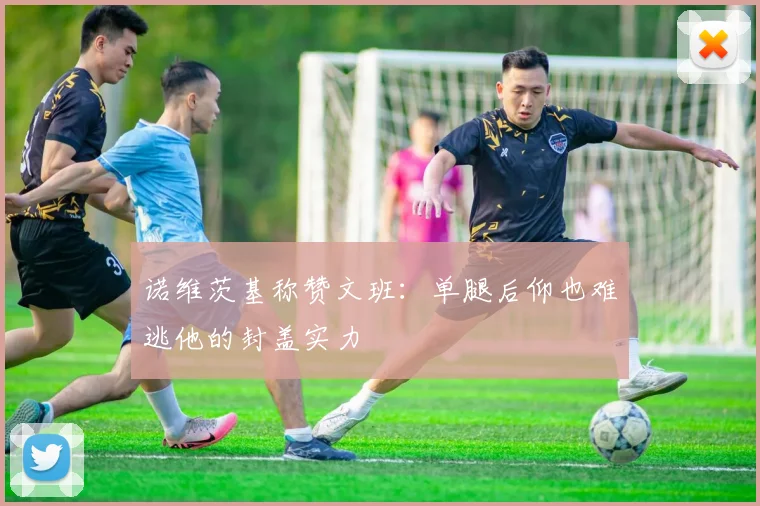 诺维茨基称赞文班：单腿后仰也难逃他的封盖实力